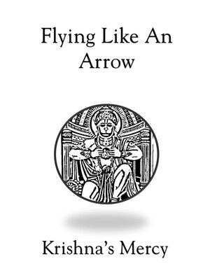 cover image of Flying Like an Arrow